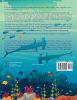 The Creation and Flood Stories (back cover)