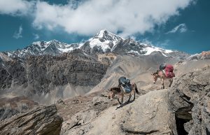 Adventure