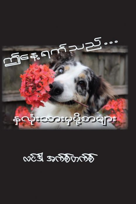 day_front