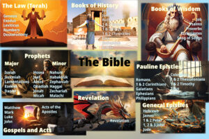 Books of the Bible Chart